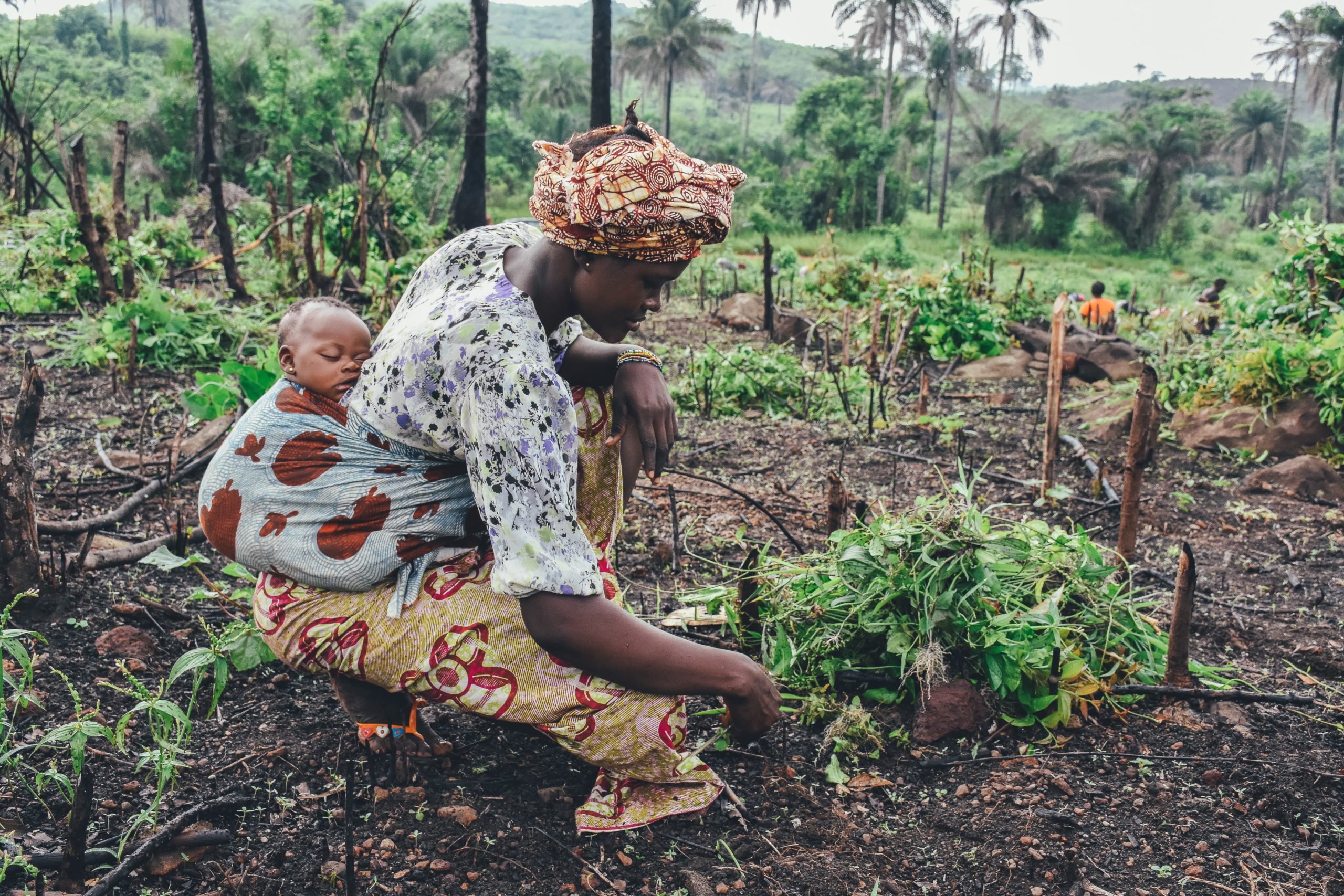 farm_rural_food_baby