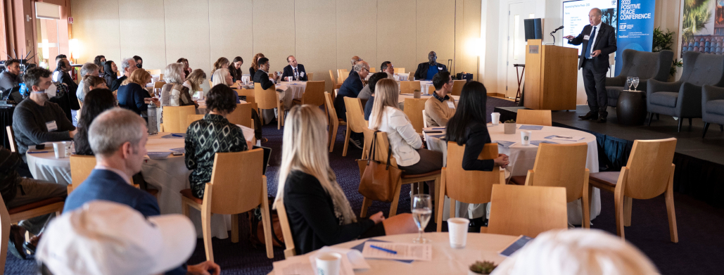 Launch of the Climate Peace and Action Strategy at the NDC (National Determined Contribution)